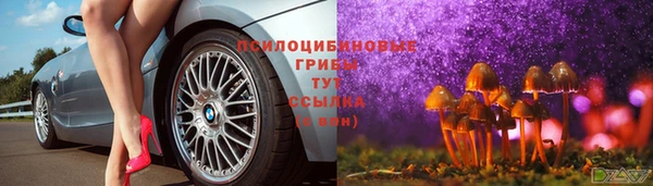 твердый Няндома