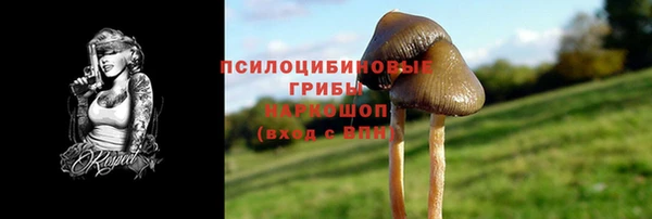 спиды Осташков