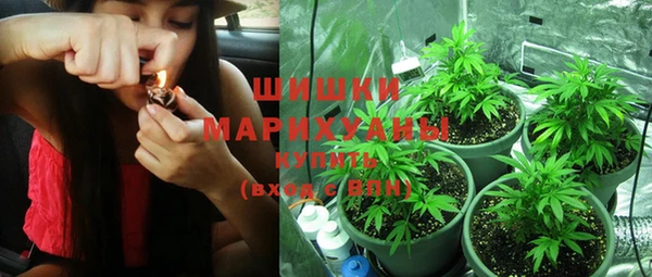 apvp Болотное