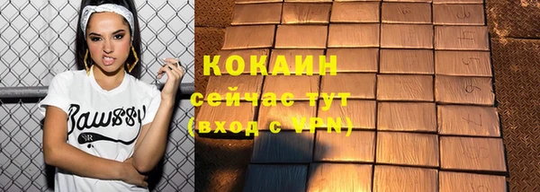 твердый Няндома