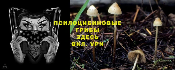 твердый Няндома