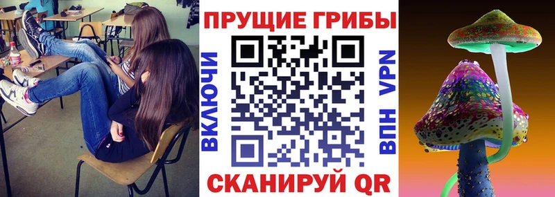 Псилоцибиновые грибы MAGIC MUSHROOMS  Кораблино 